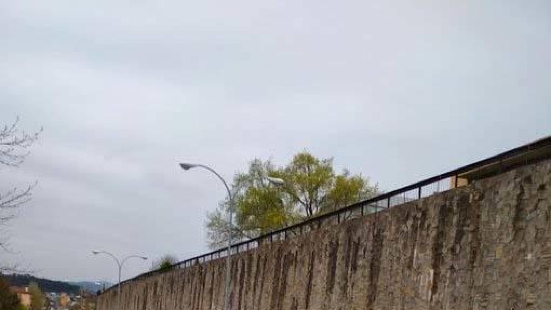 Ocho detenidos en Pamplona por reiteración en saltarse el estado de alarma
