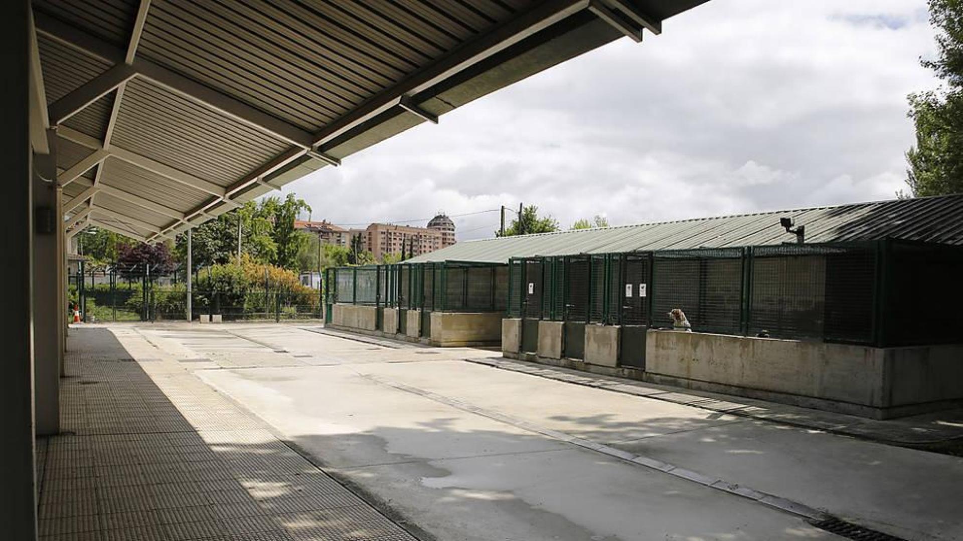 El Ayuntamiento ampliará el centro de atención de animales