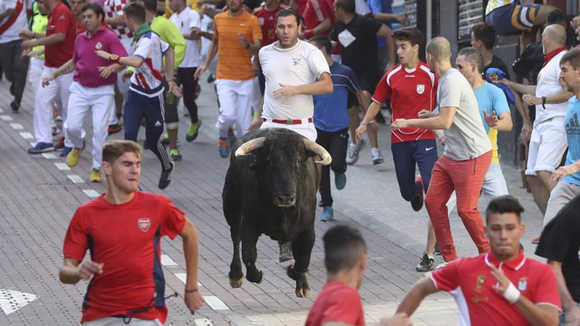 Unos mozos corren delante de un toro durante el último encierro de San Sebastián de los Reyes.