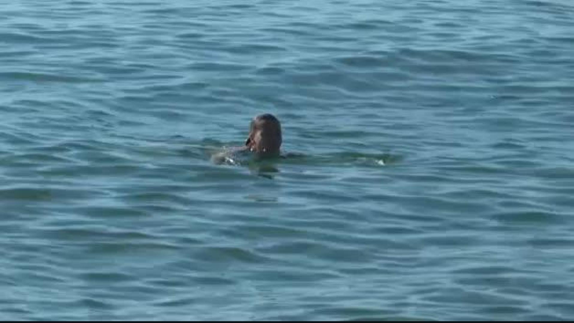 Vídeo | Lleno en las playas de Barcelona ante el anuncio confuso de su apertura