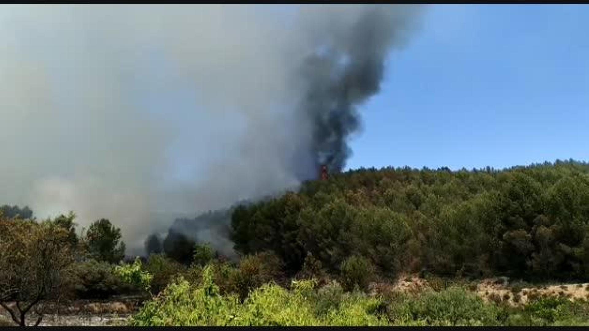Fallece un hombre por quemaduras en un incendio forestal en Los Arcos