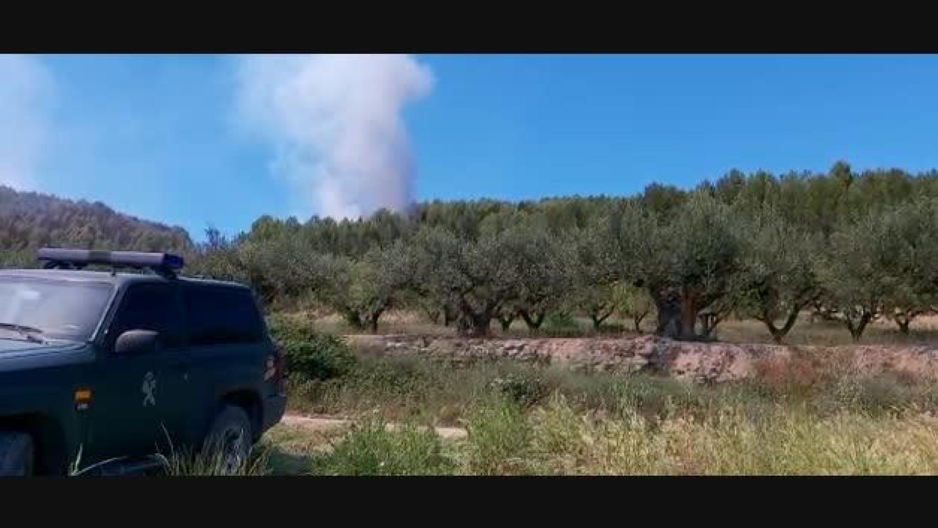 Labores de extinción del incendio de Los Arcos en el que ha muerto un hombre
