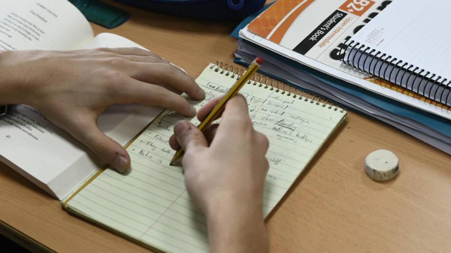 Las necesidades educativas especiales siguen creciendo; un 2,6% del alumnado