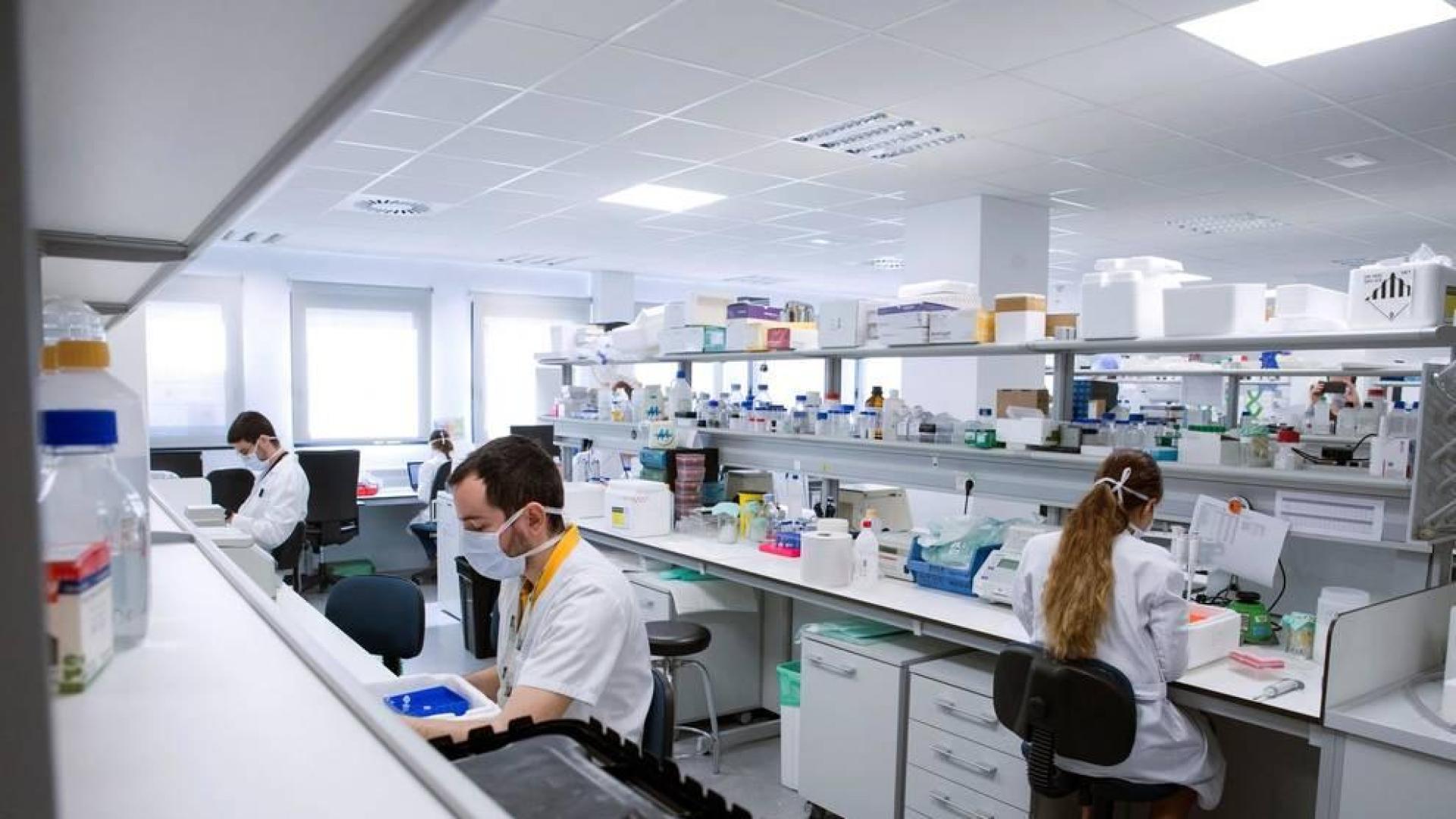 España registra 48 muertes por Covid-19 en un día y 361 contagios confirmados