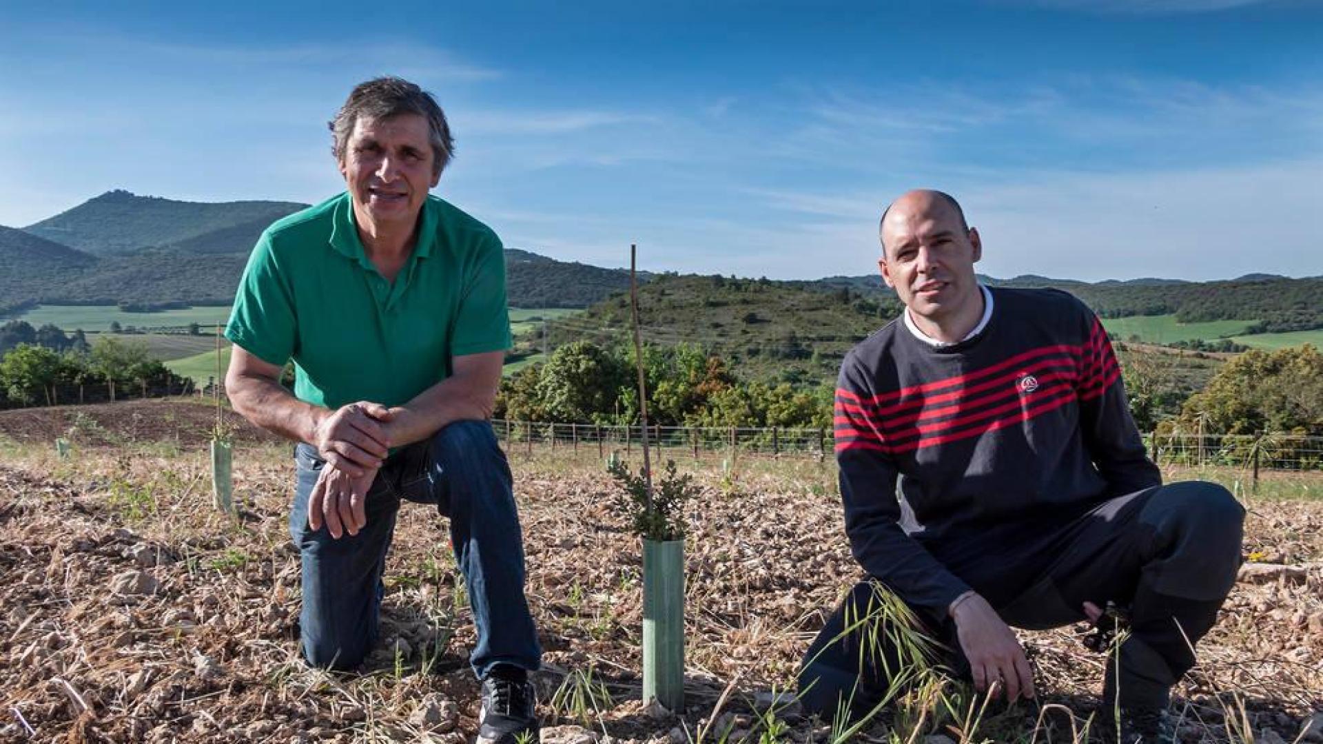 La truficultura como apuesta forestal, en la sierra de Santiago de Lóquiz