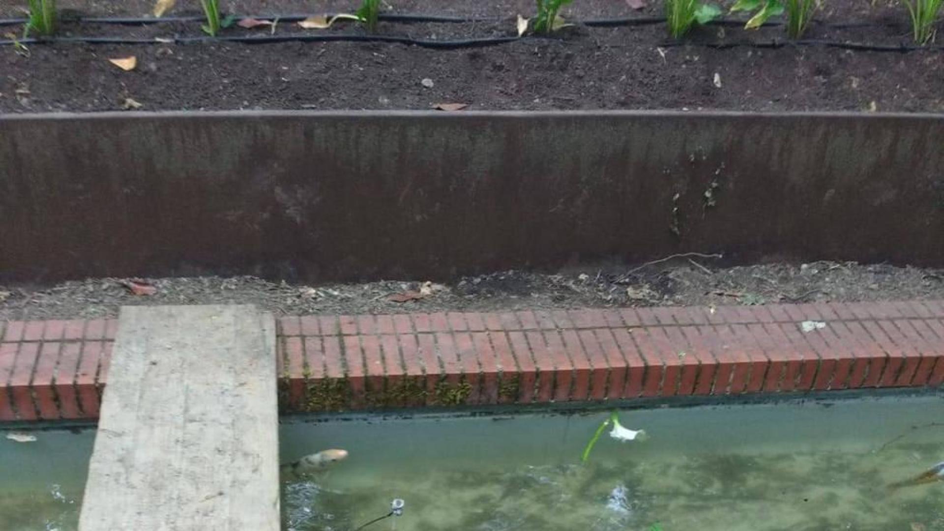 Matan “a palos” a cinco peces de la Media Luna el pasado fin de semana