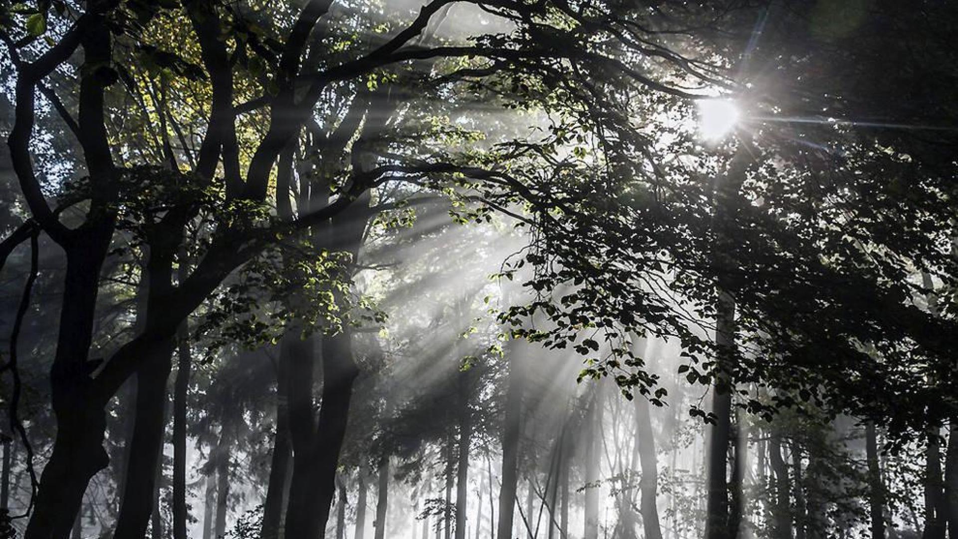 El invierno será cálido en toda España y lluvioso en el noroeste peninsular