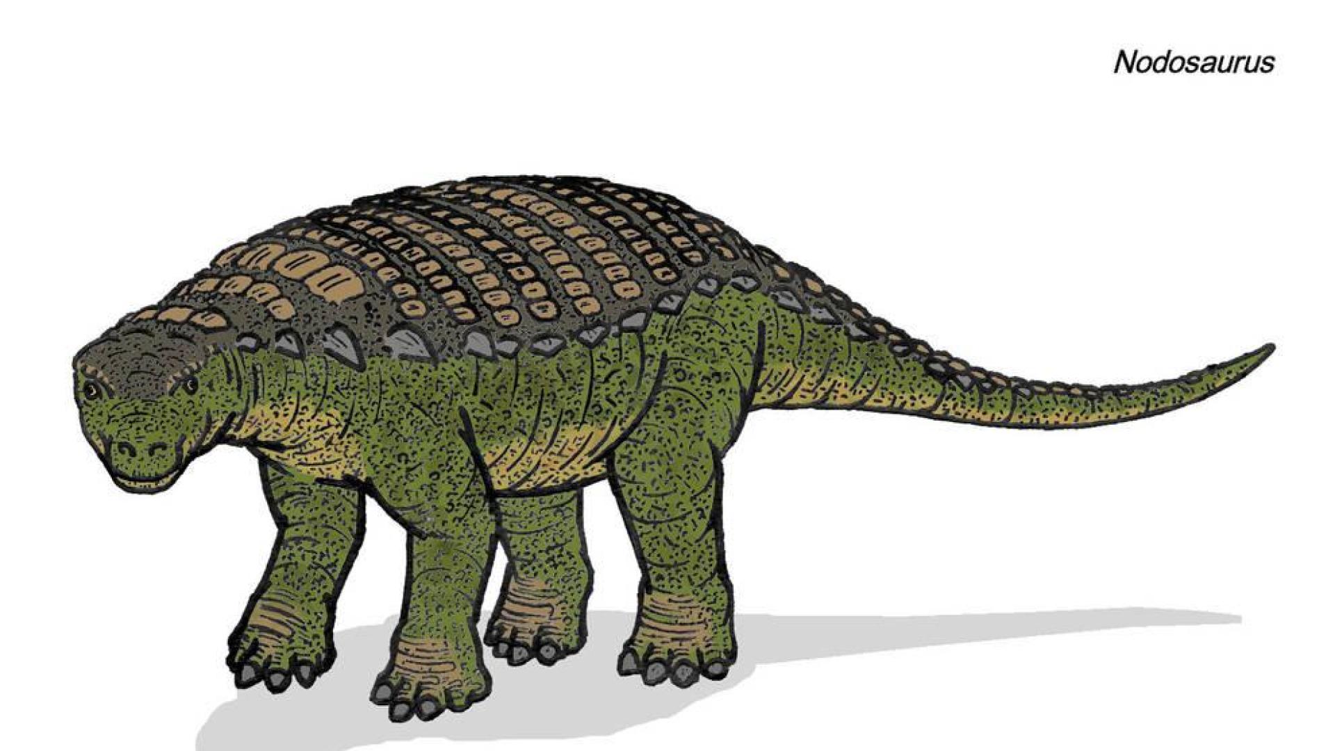 El último banquete de un dinosaurio de 1.300 kilos, al descubierto