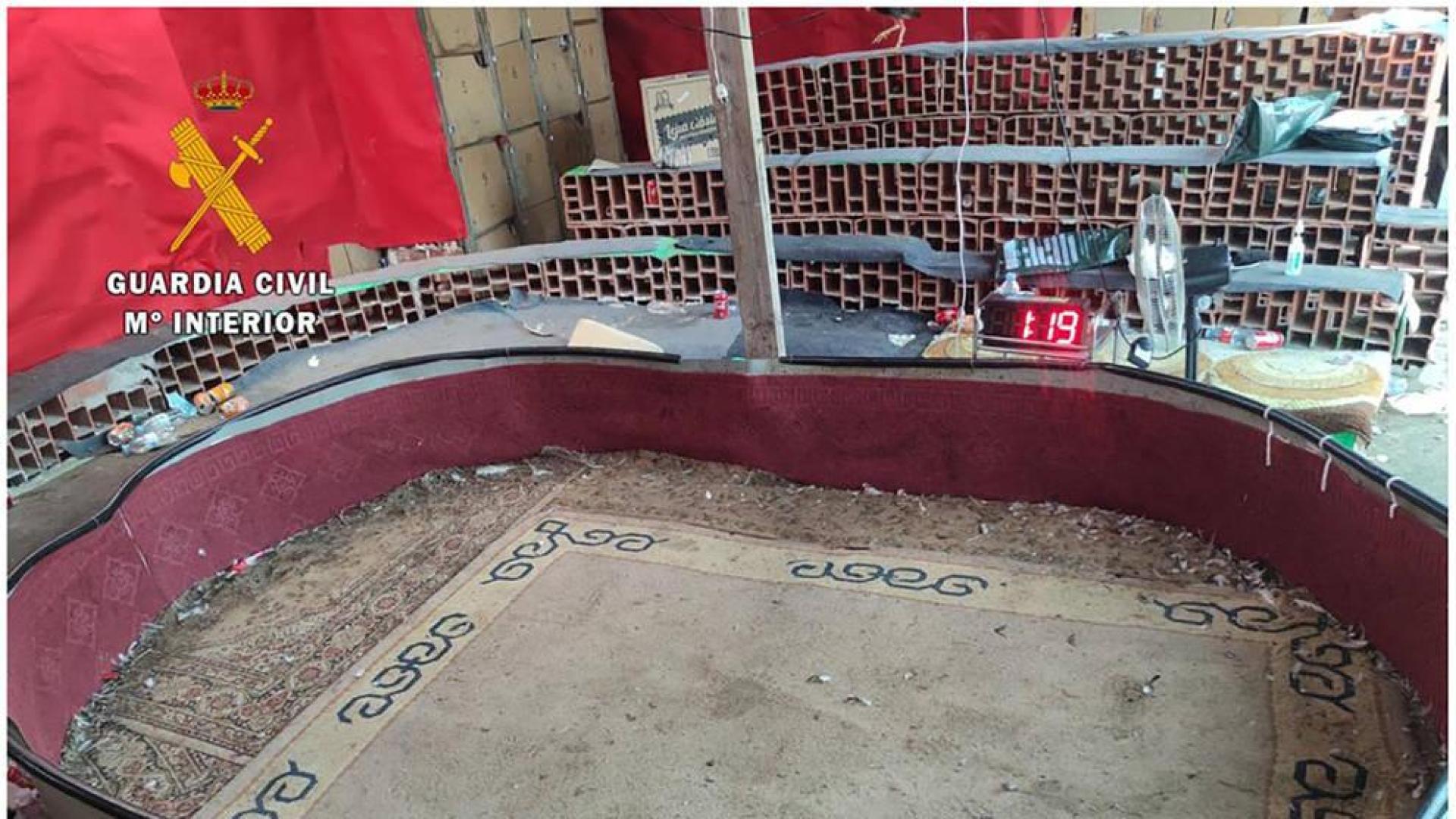 Tres detenidos y 37 investigados por organizar peleas de gallos en Valdehúncar