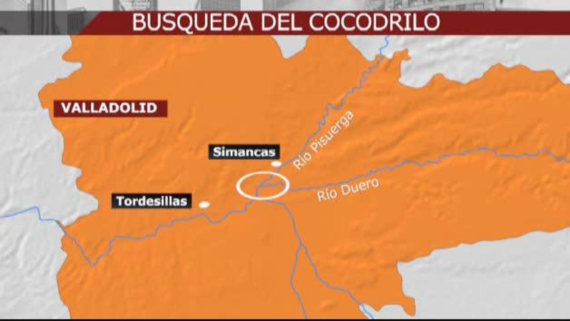 Buscan en Valladolid un cocodrilo de metro y medio