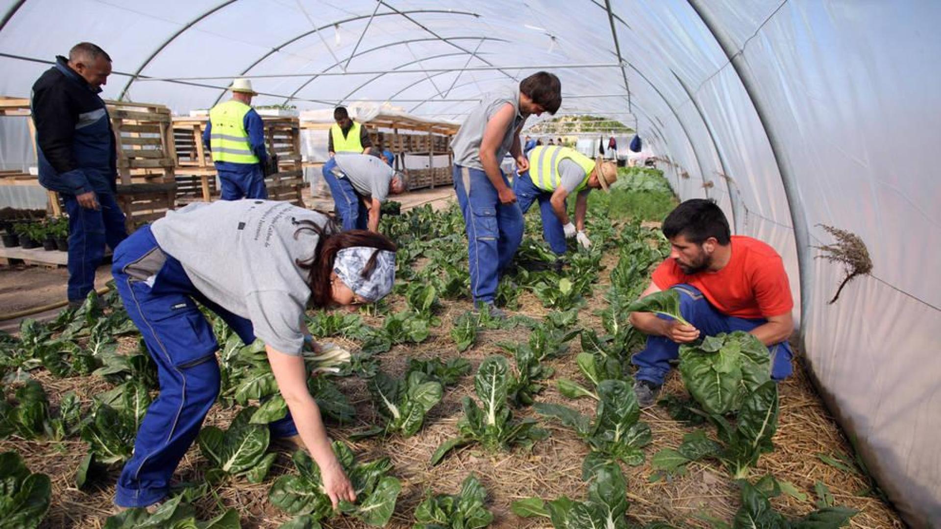 Este año se queda sin asignar más del 60% del presupuesto para escuelas-taller