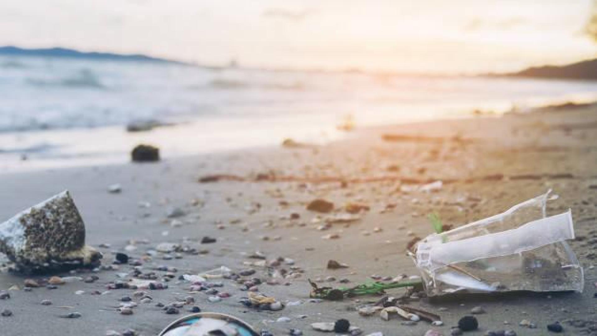 38 erasmus, obligados a limpiar una playa gallega tras un botellón