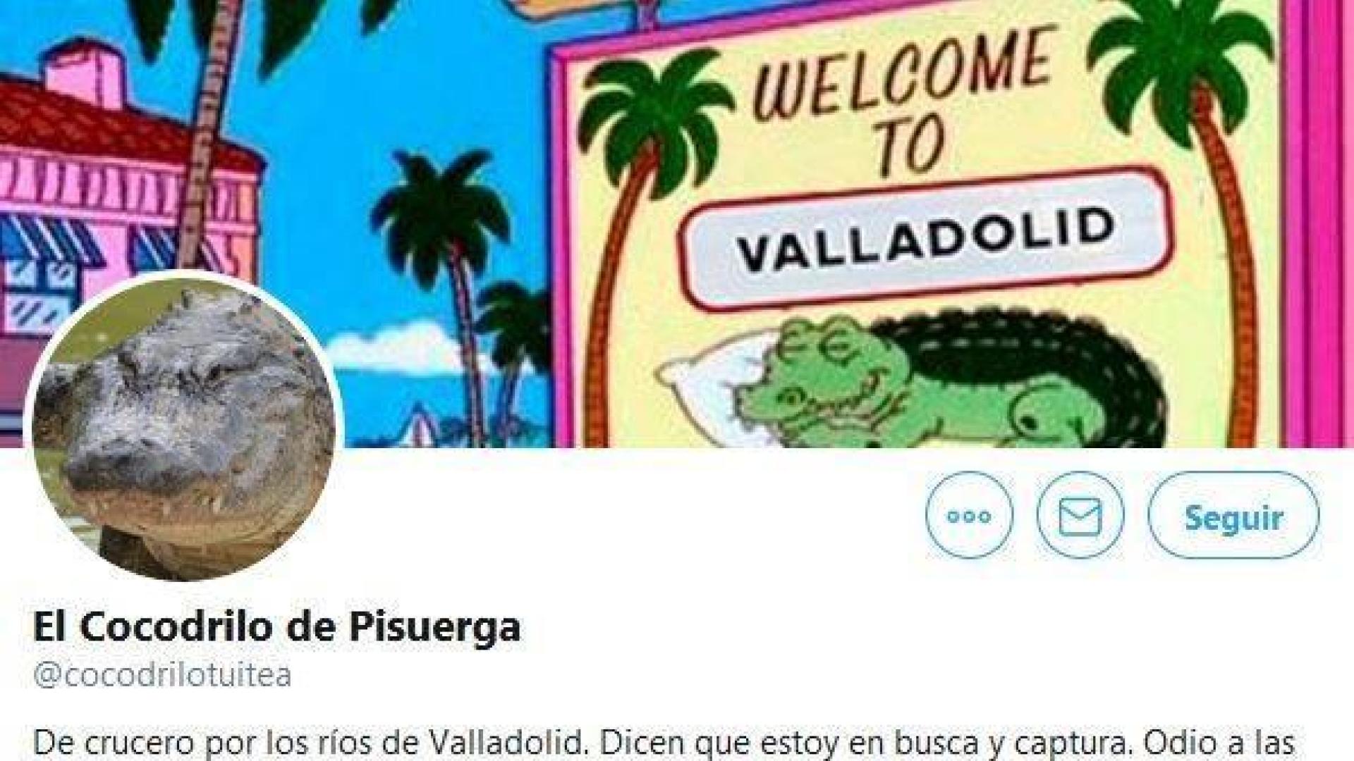 El cocodrilo del Pisuerga 'se abre' una cuenta en Twitter: "En este país no se puede vivir tranquilo"