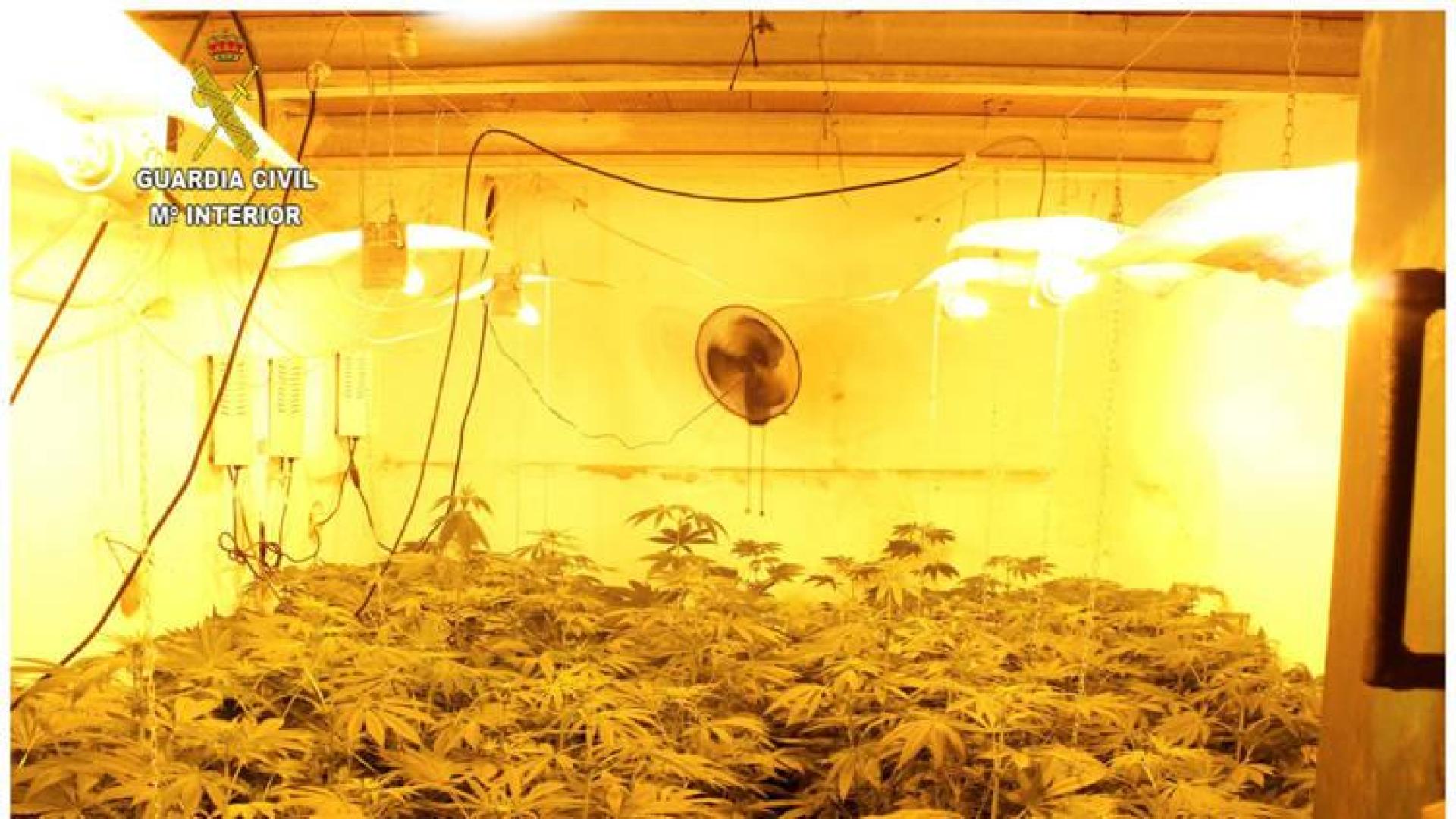 Desarticulada una banda de narcos responsable de un asesinato