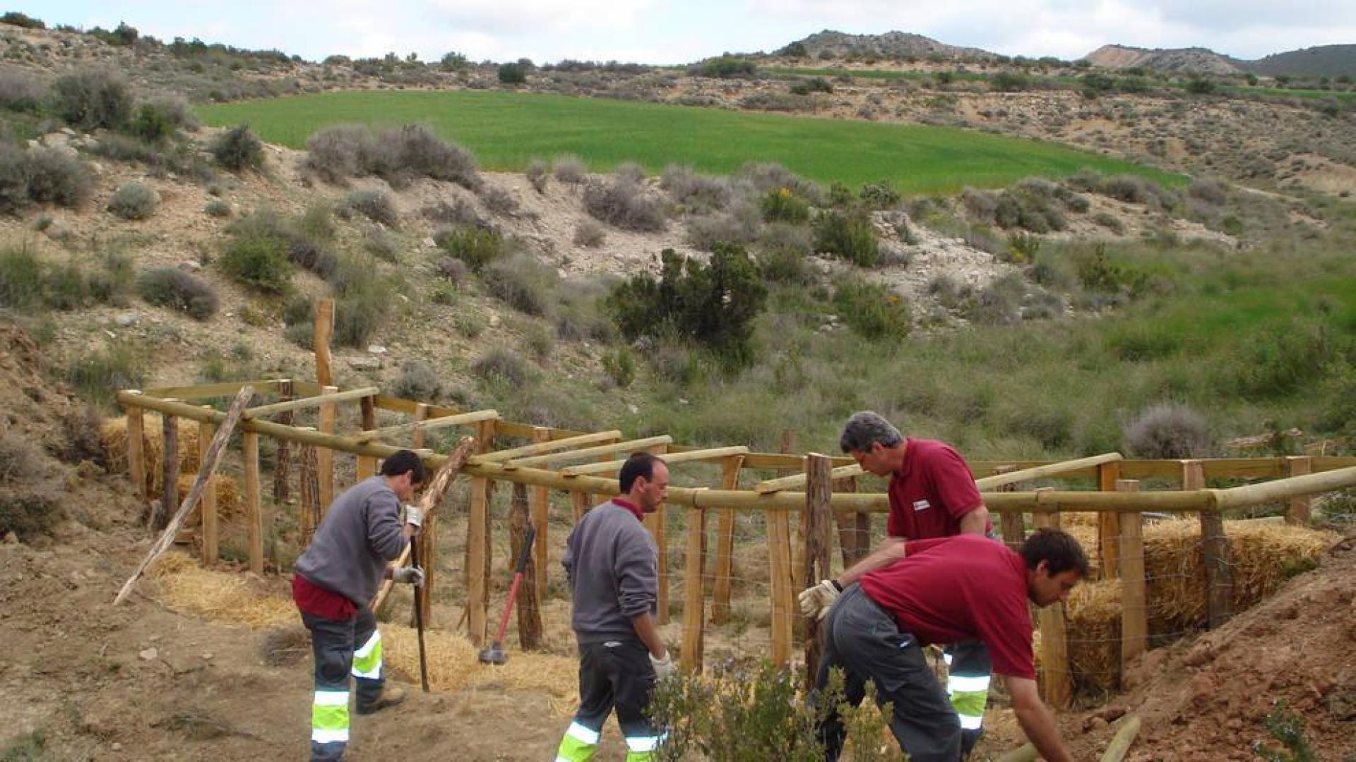 Tres de cada cuatro jóvenes con discapacidad no tienen empleo