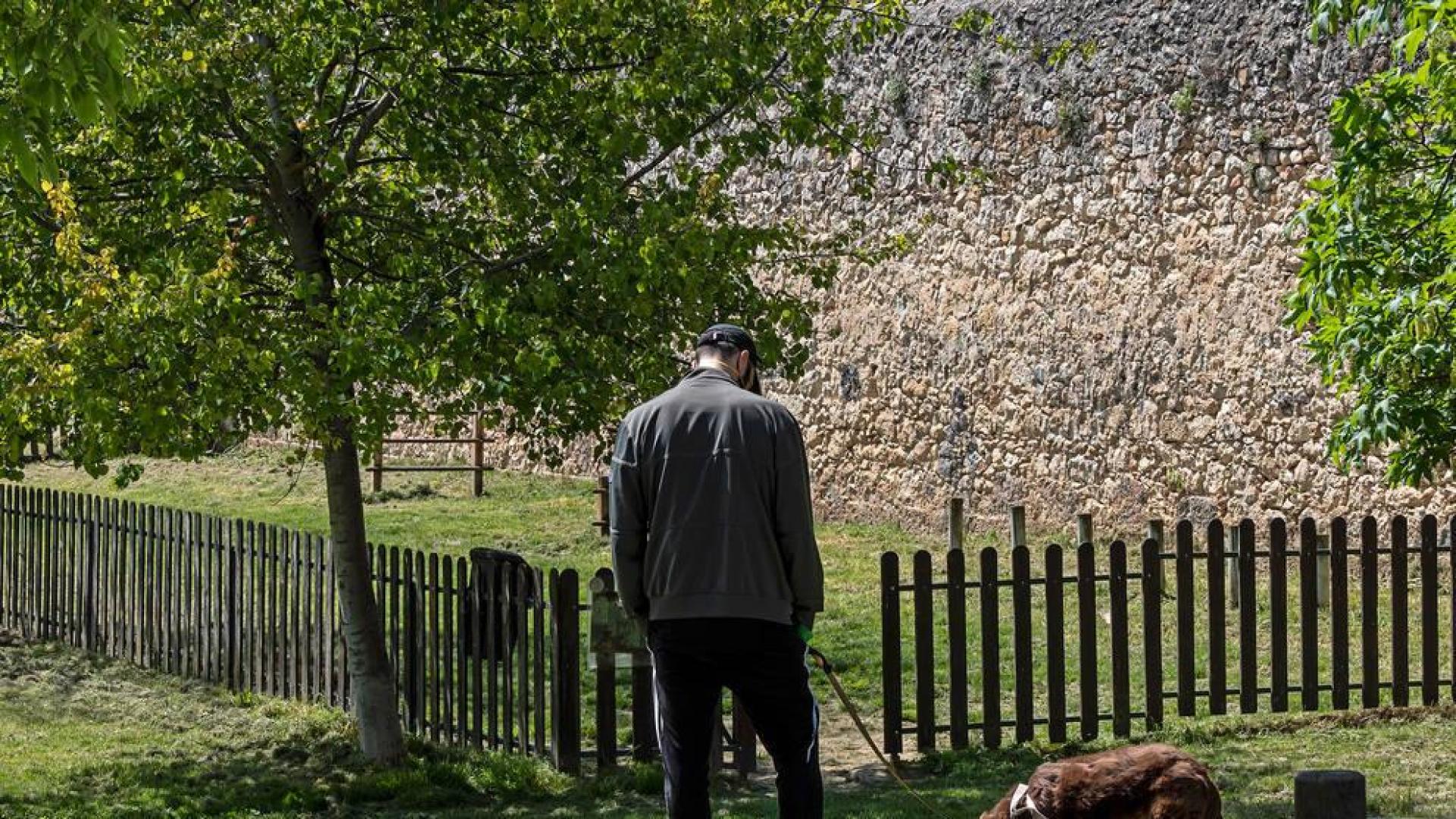 Tres zonas de uso canino para la negociación en Estella