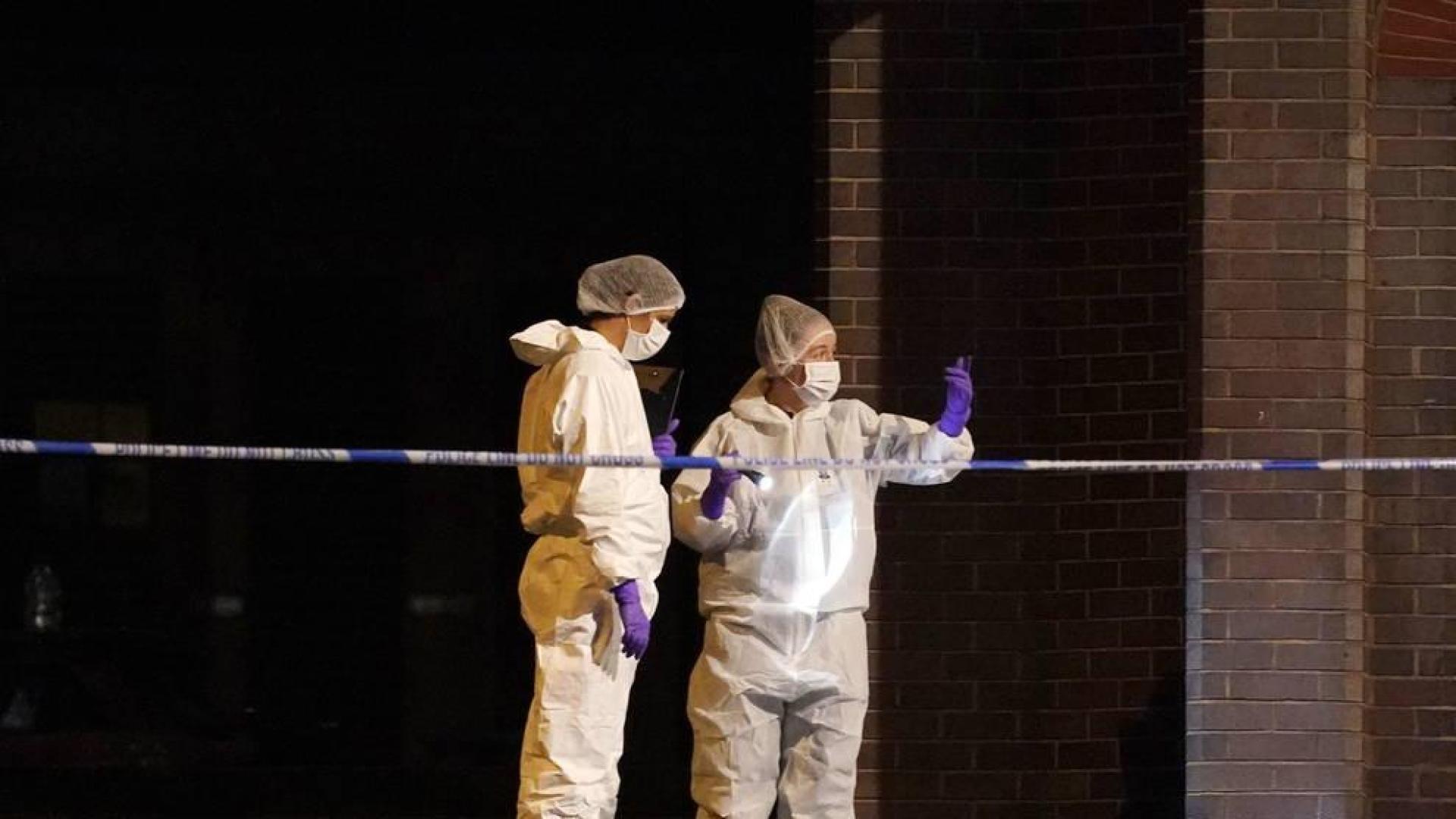 Forenses en el lugar de los apuñalamientos en Reading.