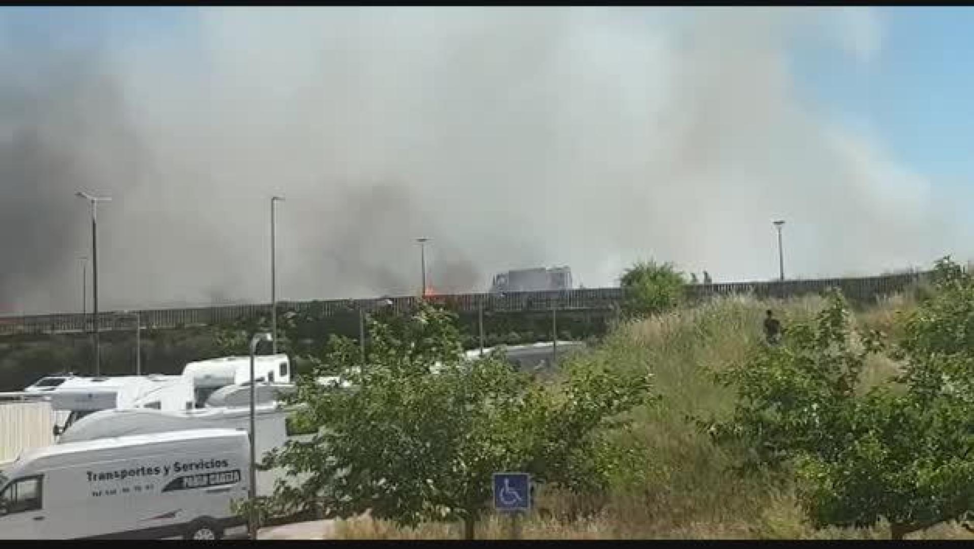 Vídeo de un incendio forestal en Sarriguren (II)