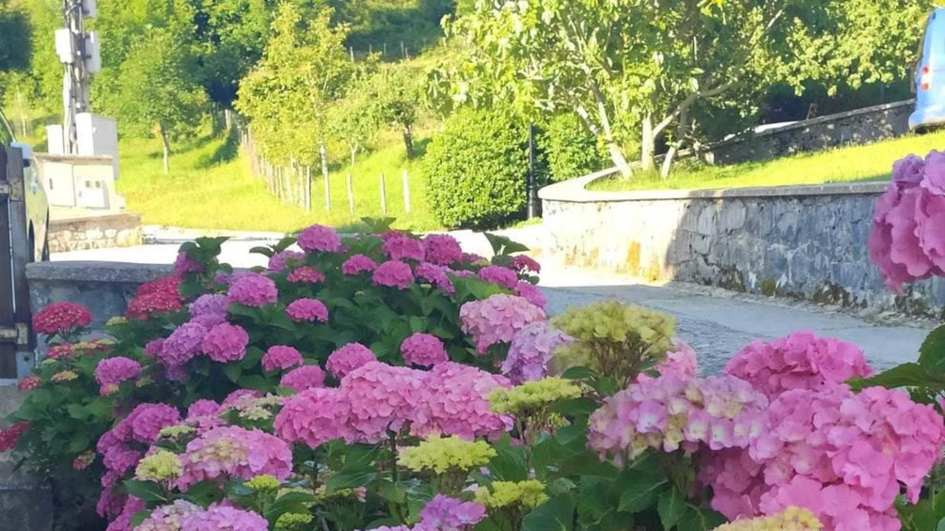 El verano de los lectores, envíanos tus fotos por Whatsapp