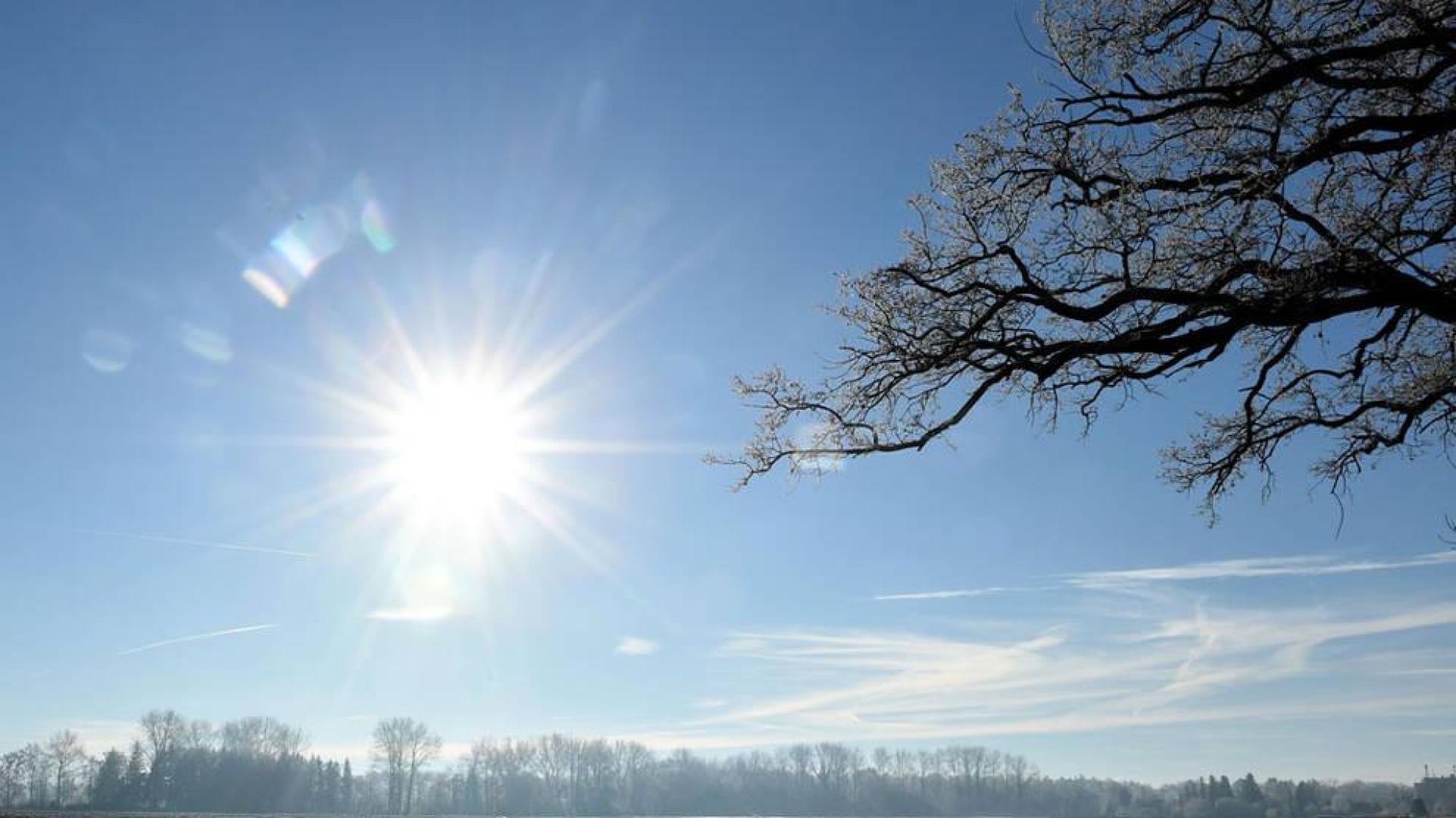 Sol y temperaturas de hasta 12 grados en Navarra a quince días de la Navidad