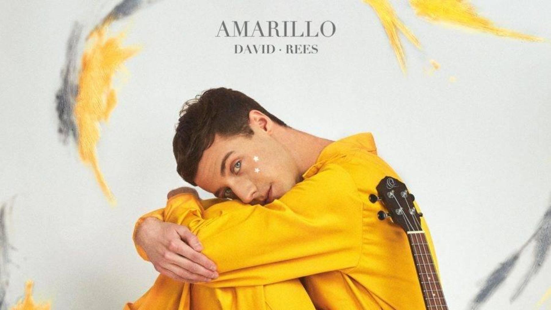 David Rees, de vídeos en YouTube a su primer disco 'Amarillo'