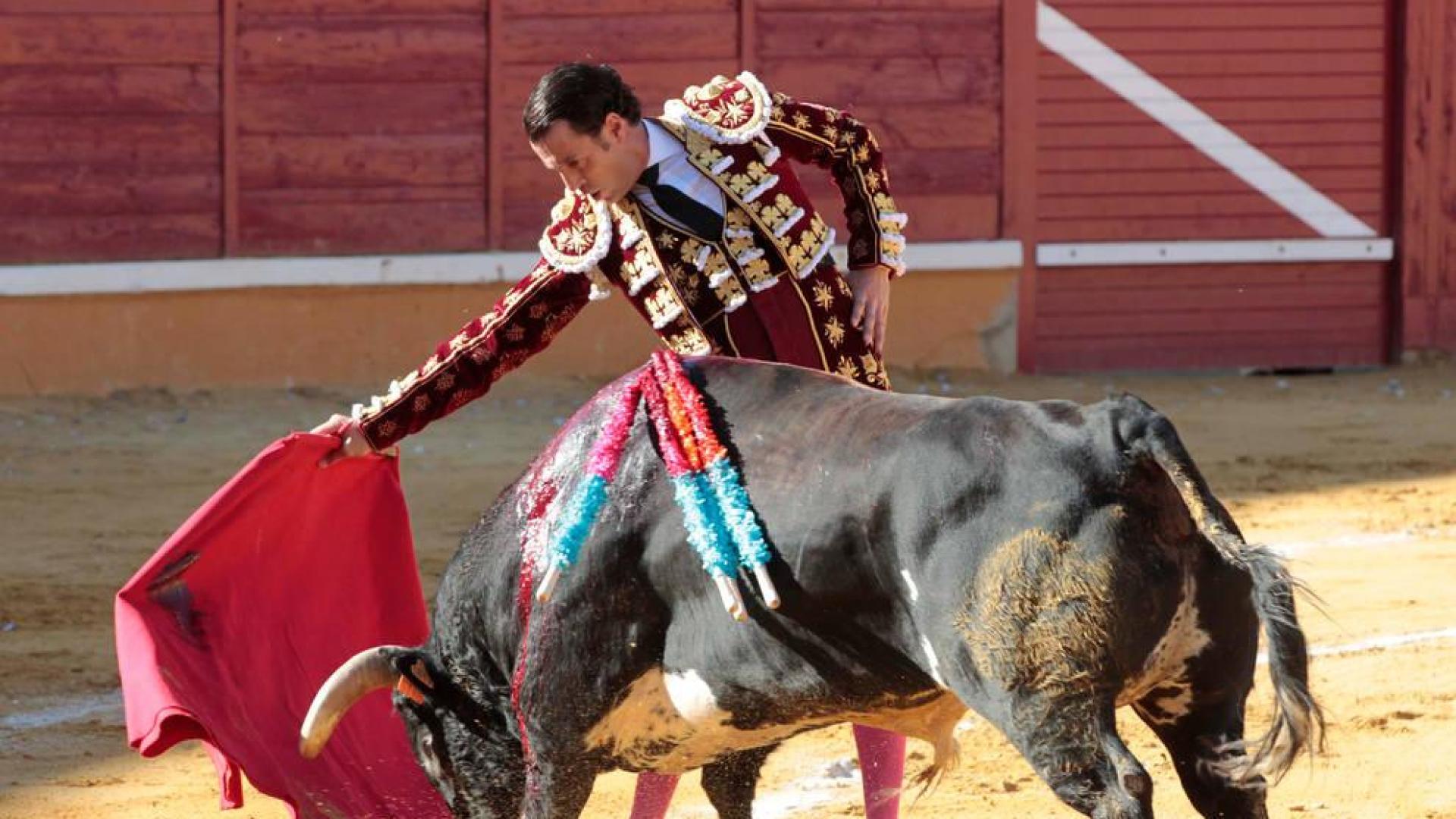 Tudela podría celebrar dos festejos taurinos mayores en agosto