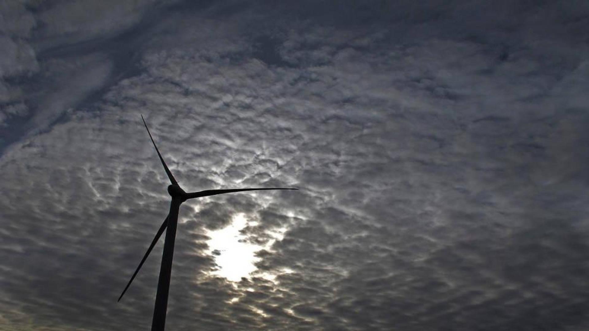 Gurelur rechaza el "insostenible" proyecto eólico de la Zona Media