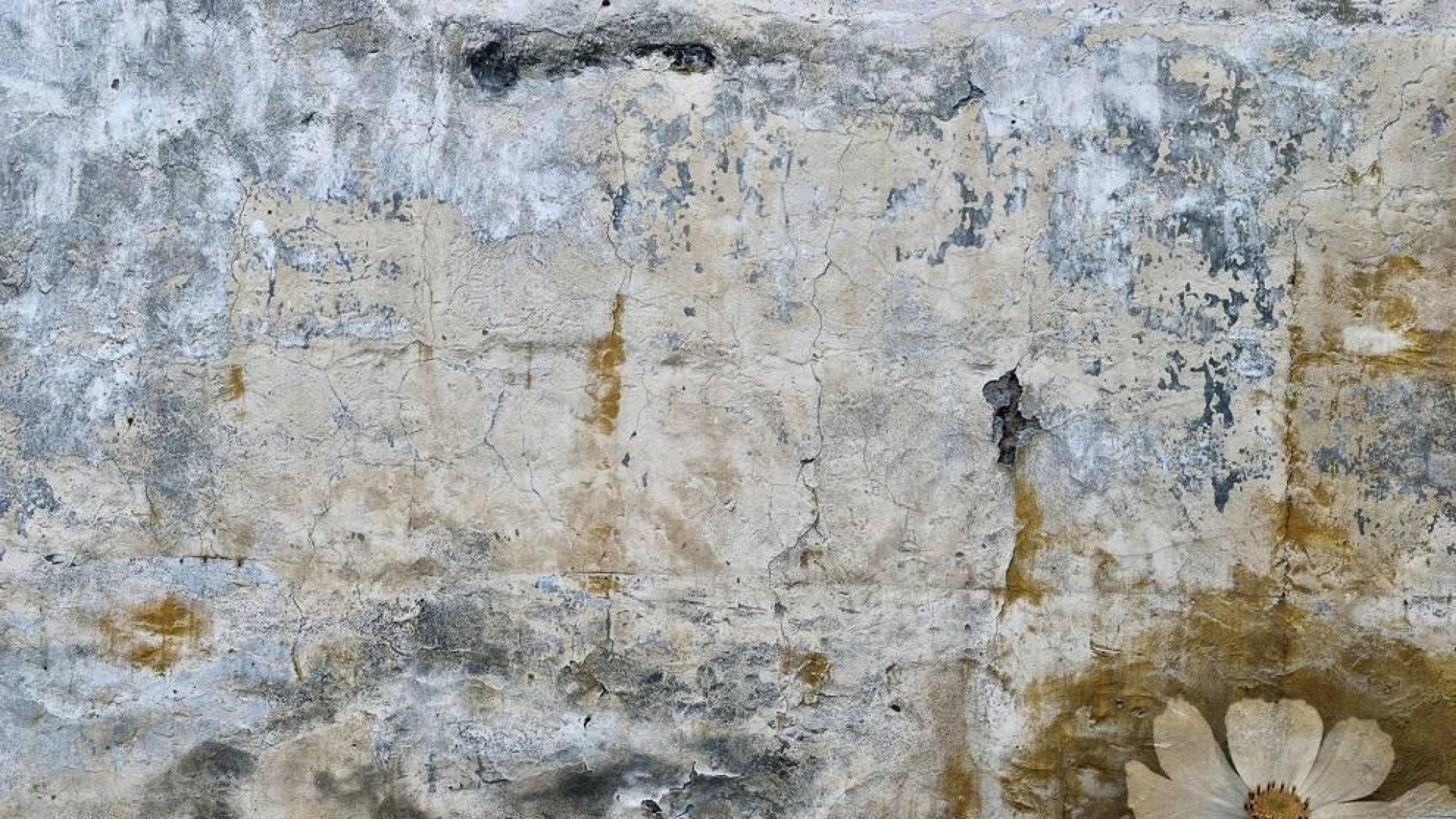 Imagen en detalle de una muralla