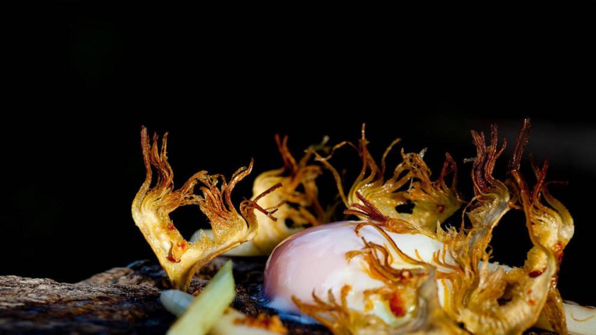 Turismo gastronomía