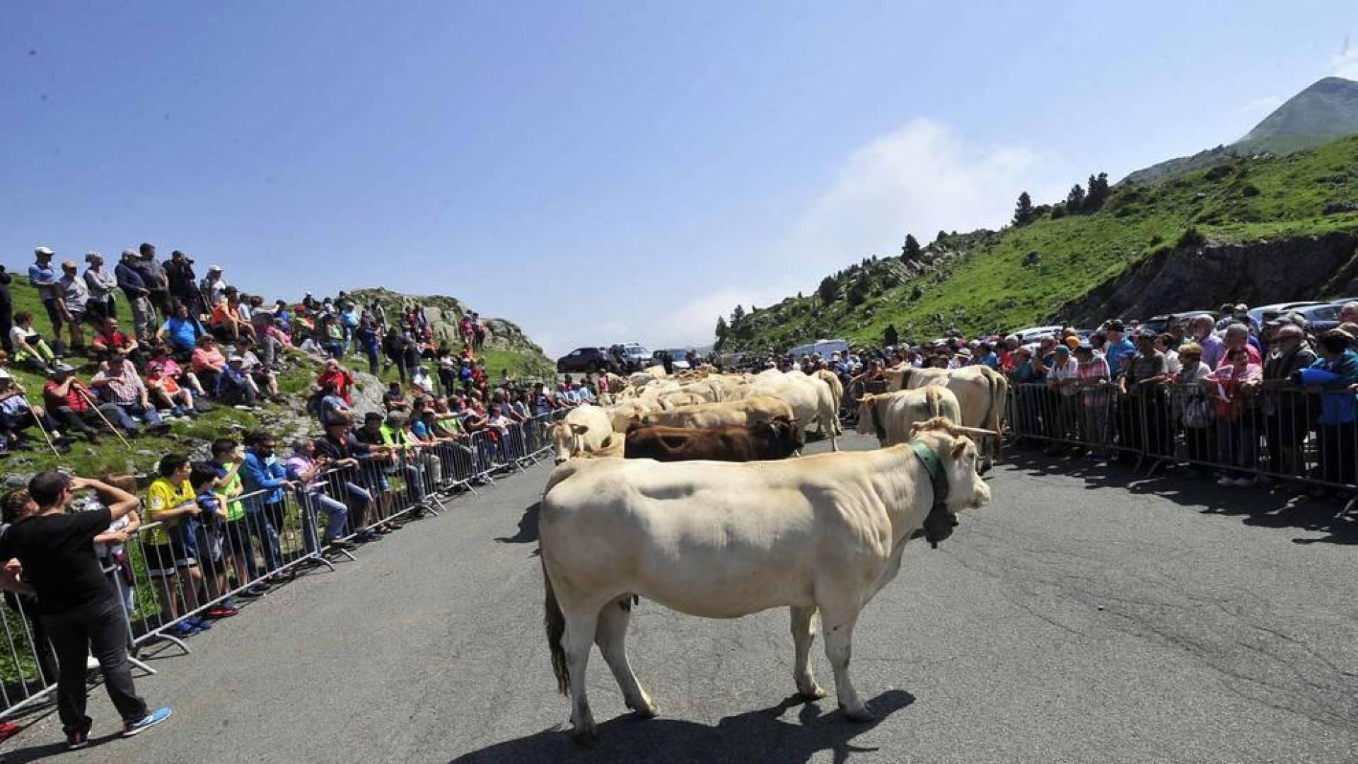 La Piedra de San Martín, frontera entre los valles de Roncal y Baretous (Francia), volvió a ser testigo de la firma del Tributo de las Tres Vacas, acto que sirve para renovar un año más la paz entre valles