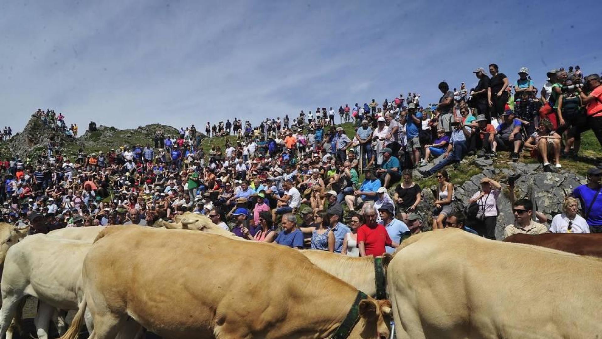 Ceremonia del tributo de las tres vacas
