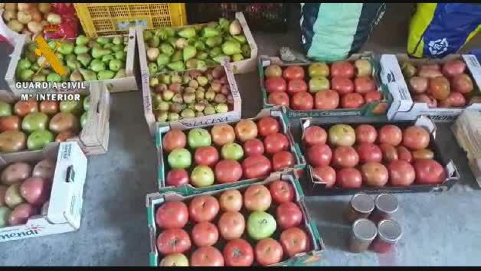 Alimentos incautados en Lodosa