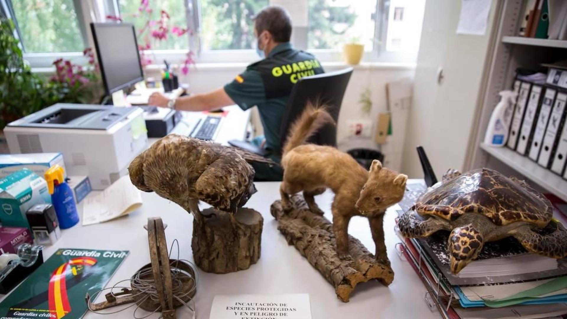 Guardianes de la naturaleza