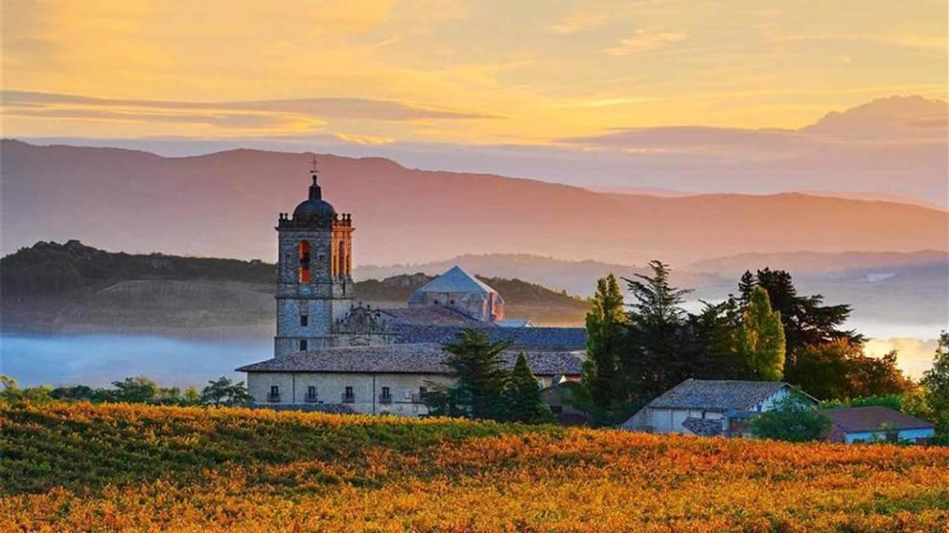 De las primeras uvas a la denominación de origen en Navarra