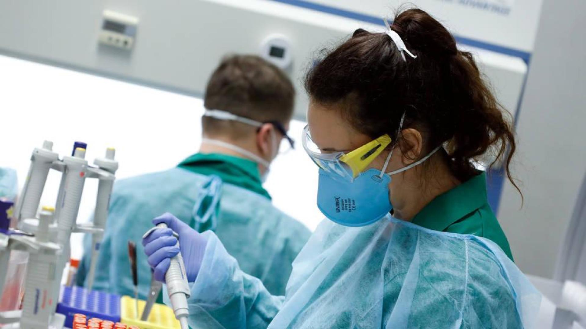 Australia comienza pruebas preclínicas de dos vacunas contra el coronavirus