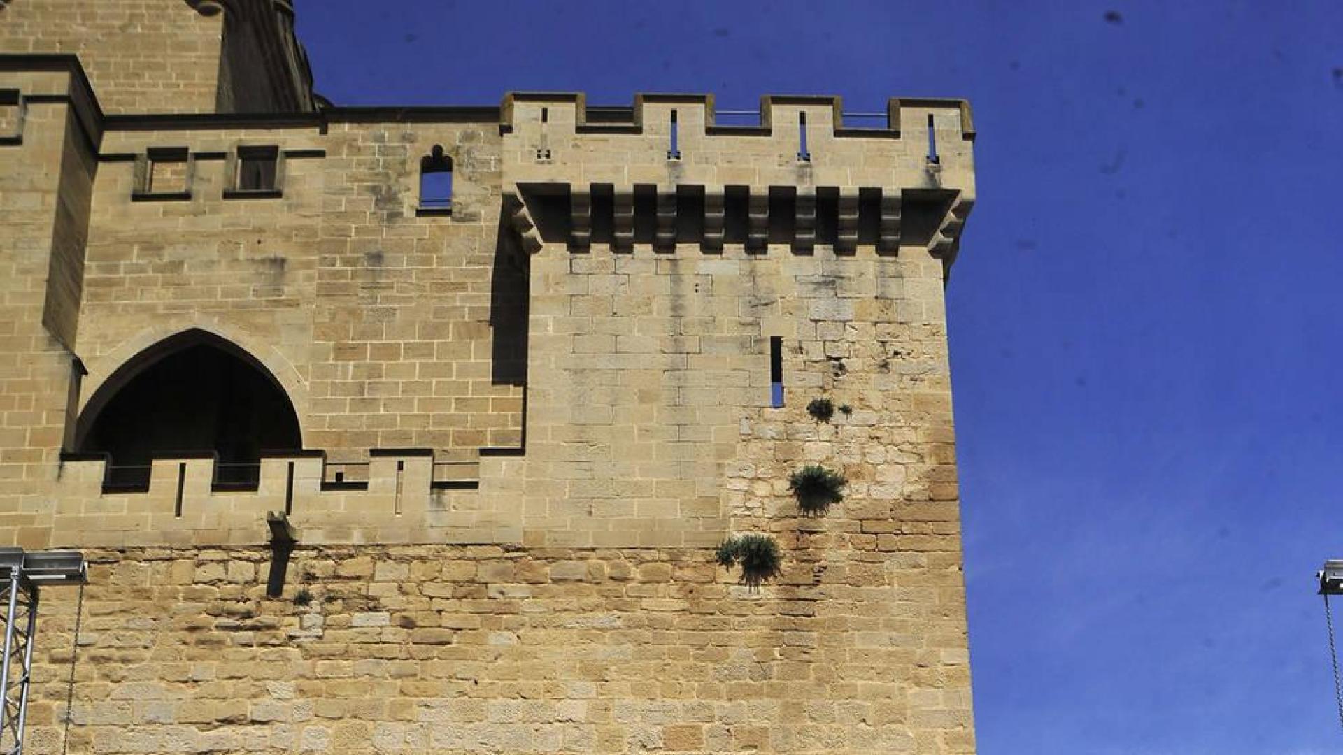Las compañías navarras, protagonistas del Festival de Olite