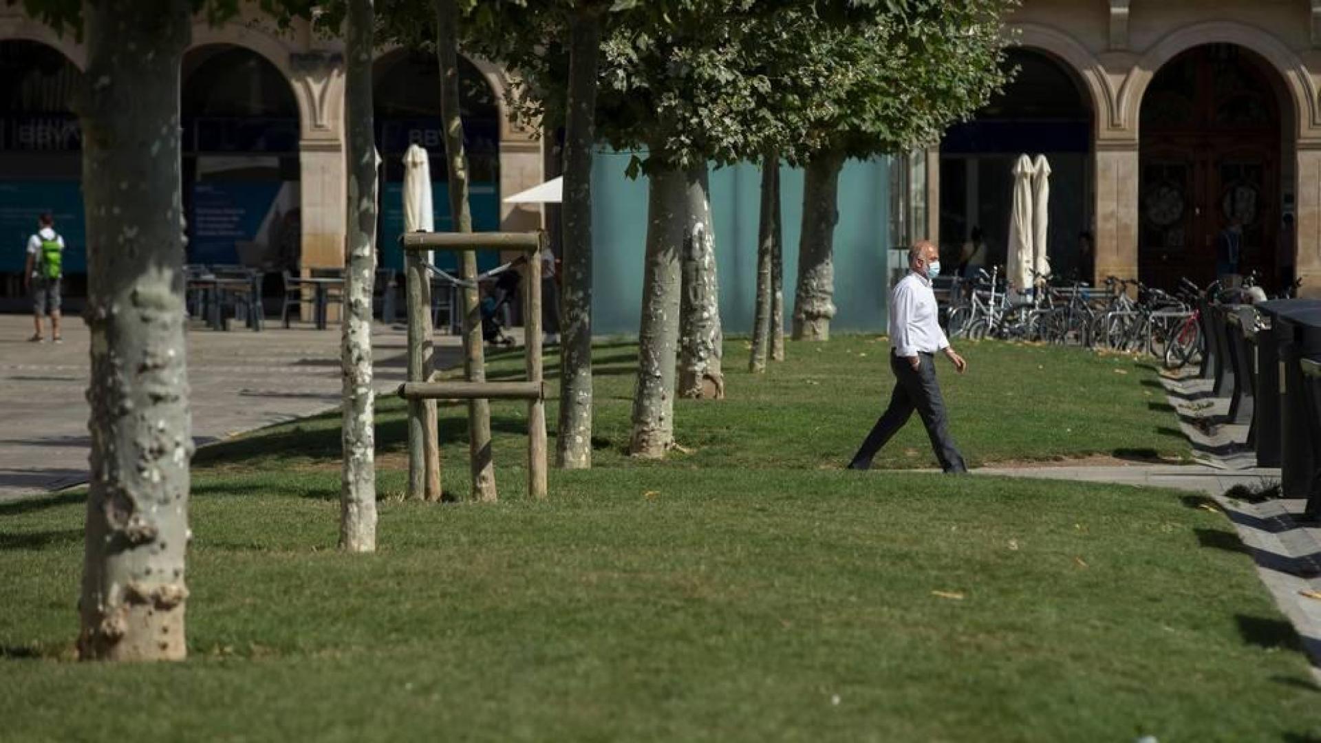 Los jardines de Pamplona se benefician de los 'no Sanfermines'