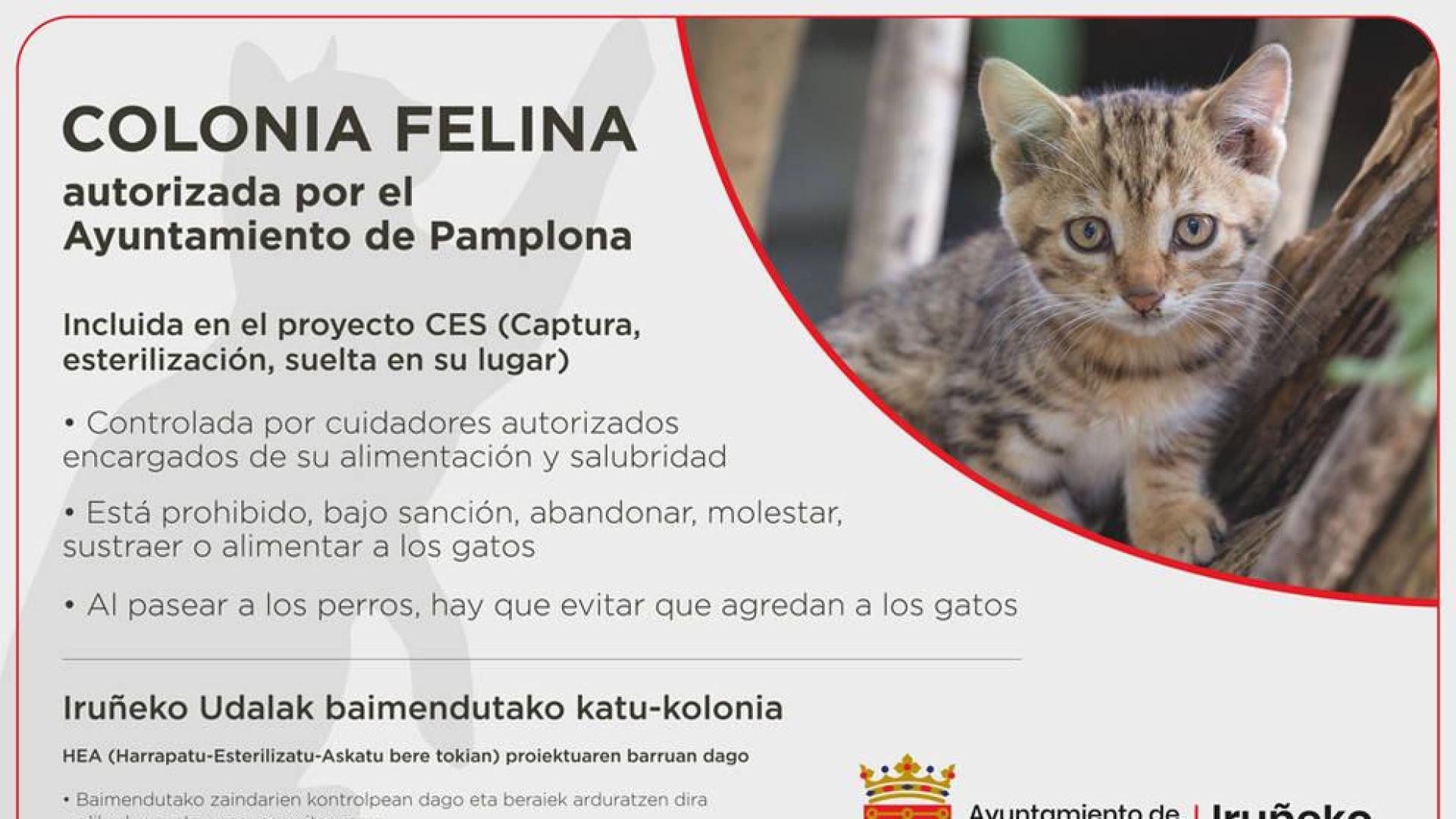 El Ayuntamiento seguirá impulsando el programa de control de la población felina