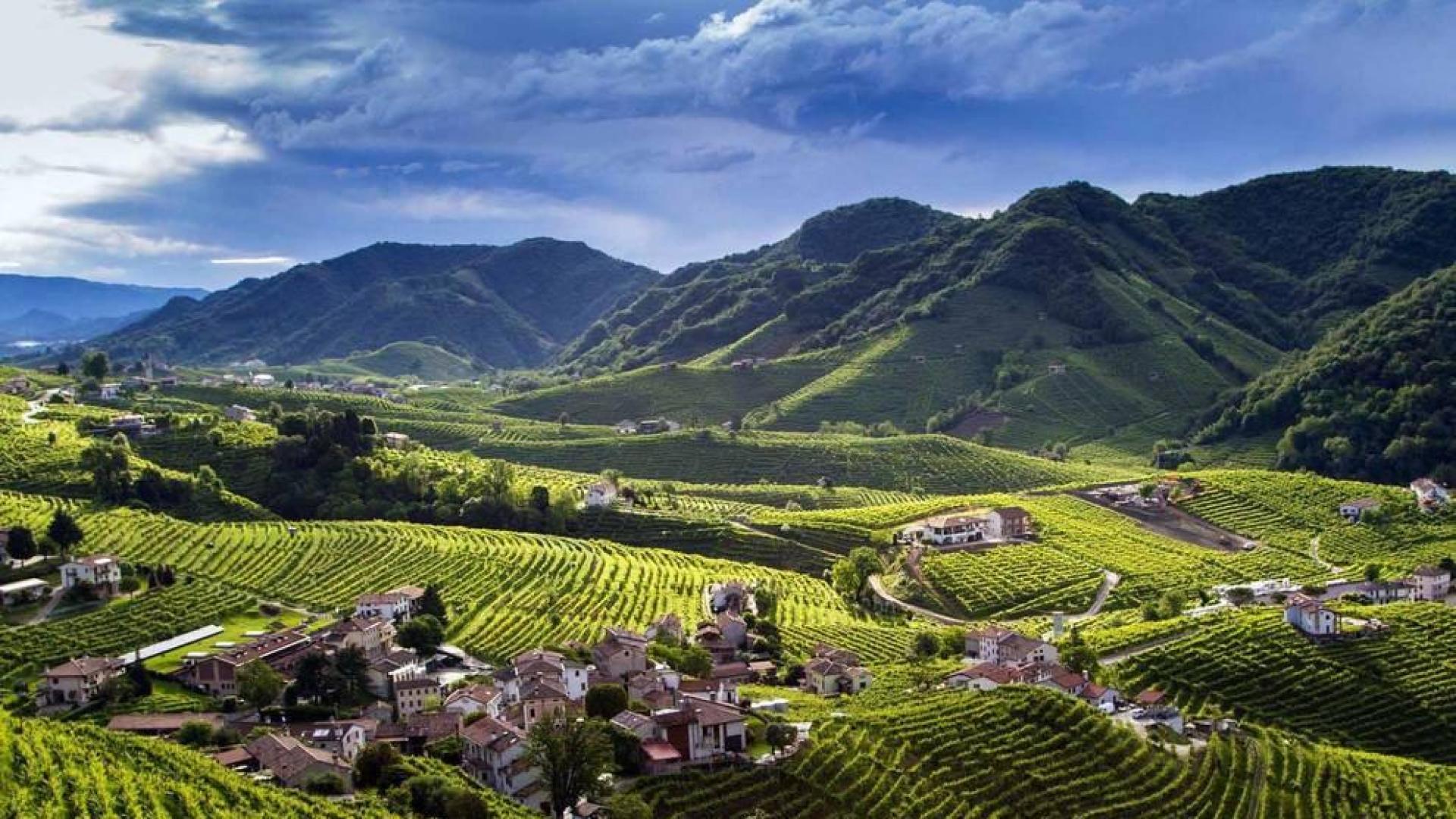 Viajar, ver, sentir. Los paisajes del vino