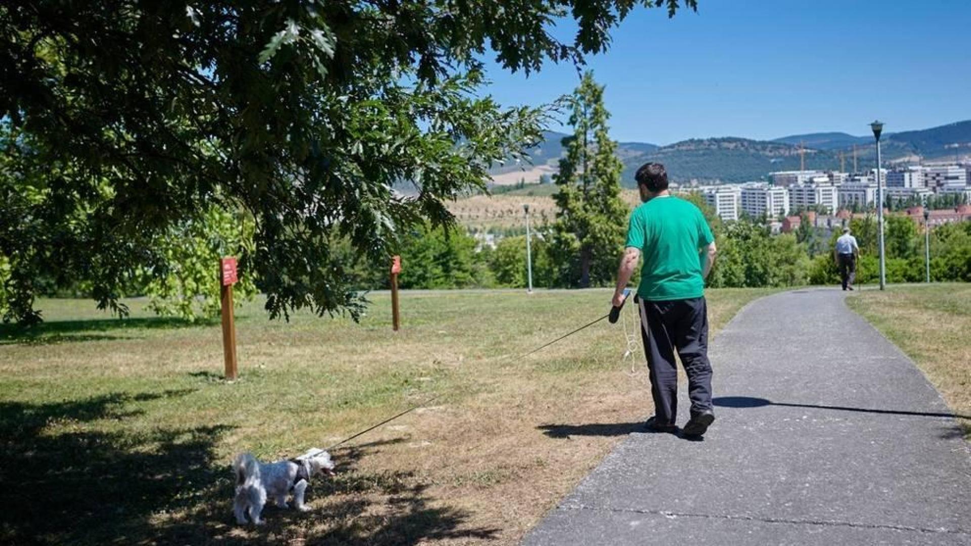 Navarra registra 59 nuevos casos de COVID-19, 18 del brote de Mendillorri, que ya suma 69 personas