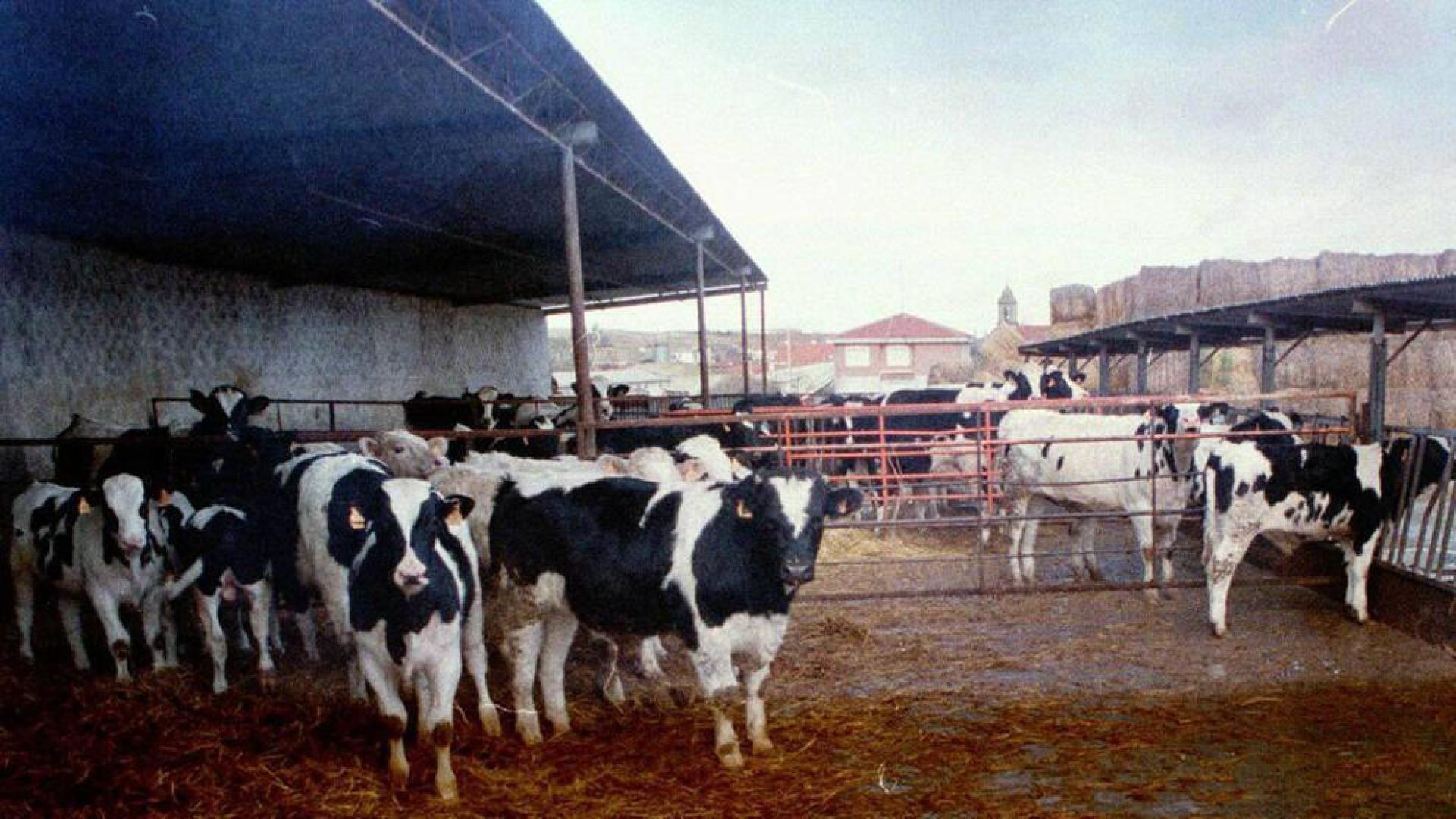 Denunciados 136 robos en granjas de Navarra entre enero y julio