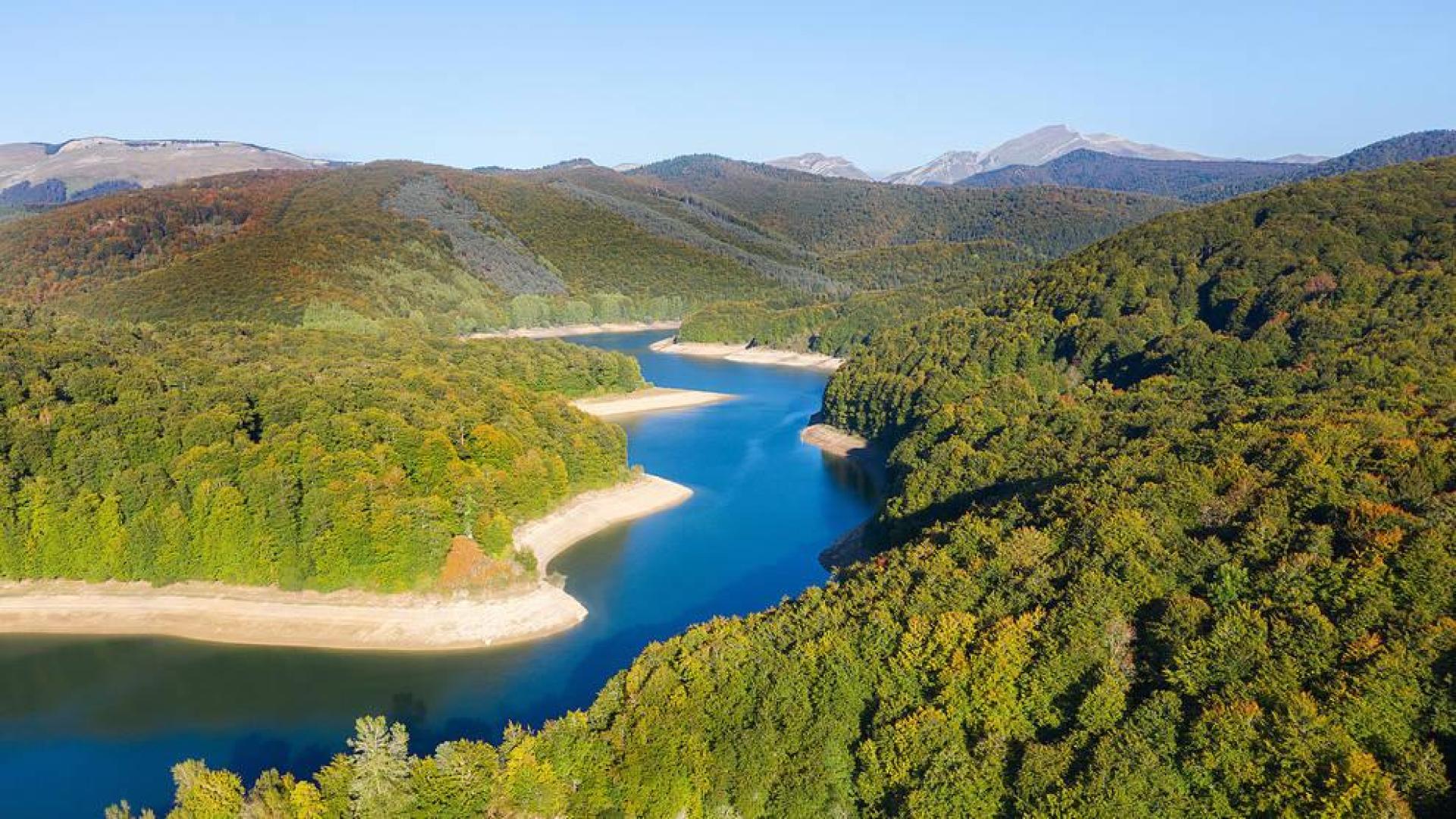 El sendero del bosque de Zabaleta, una puerta al Irati