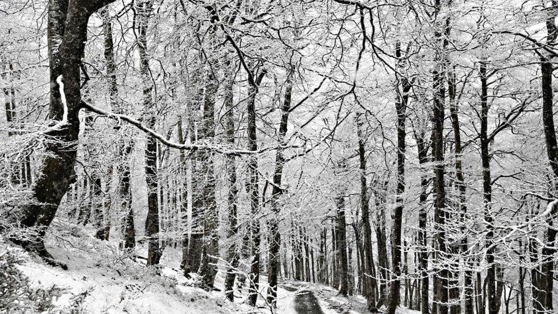 La alerta por nieve se prolonga a hoy y los copos podr&aacute;n caer a 500 metros