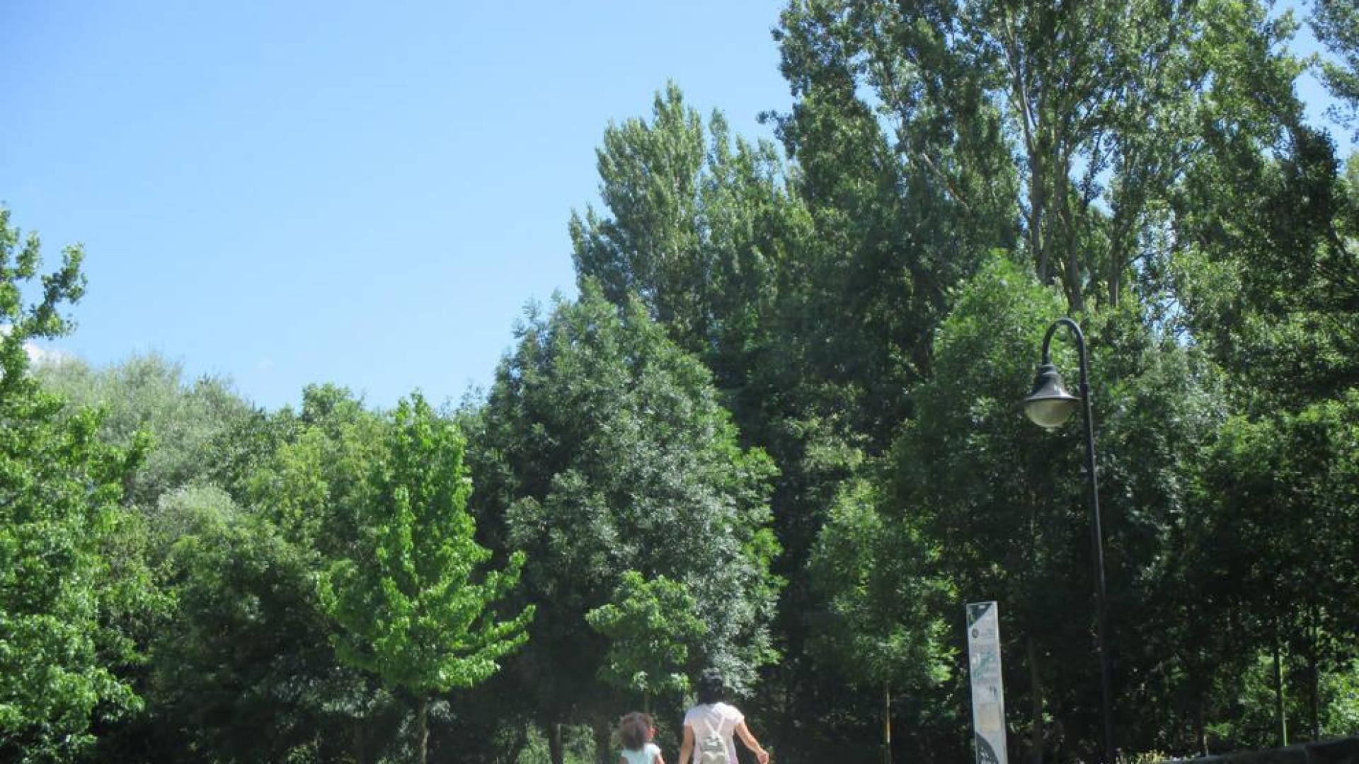 Fin de semana soleado con máximas rondando los 30 grados y cierzo por las tardes