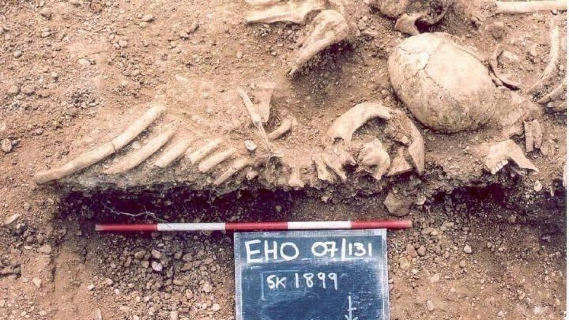 Los vikingos pudieron propagar uno de los virus más mortales del mundo