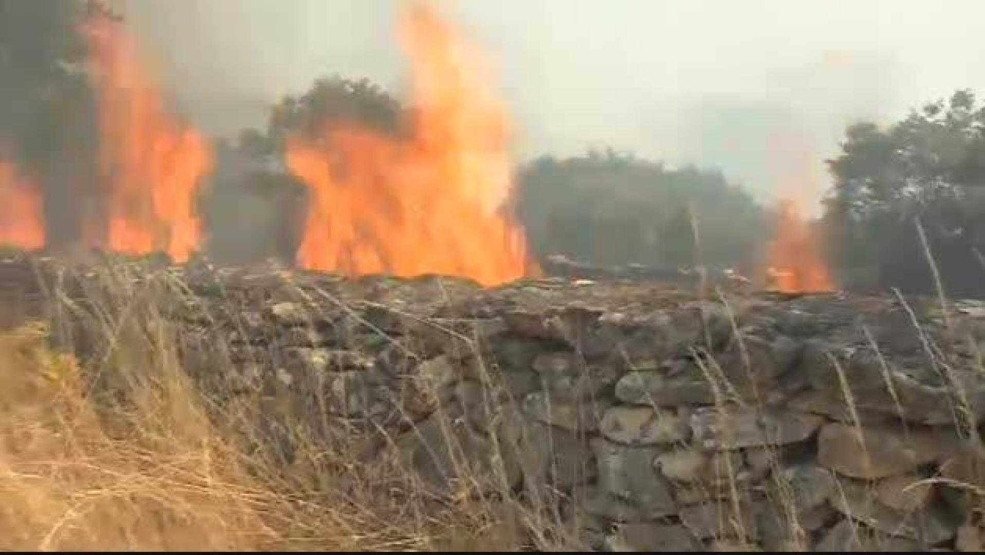 Tres incendios forestales devoran 850 hectáreas en tres municipios de Ourense