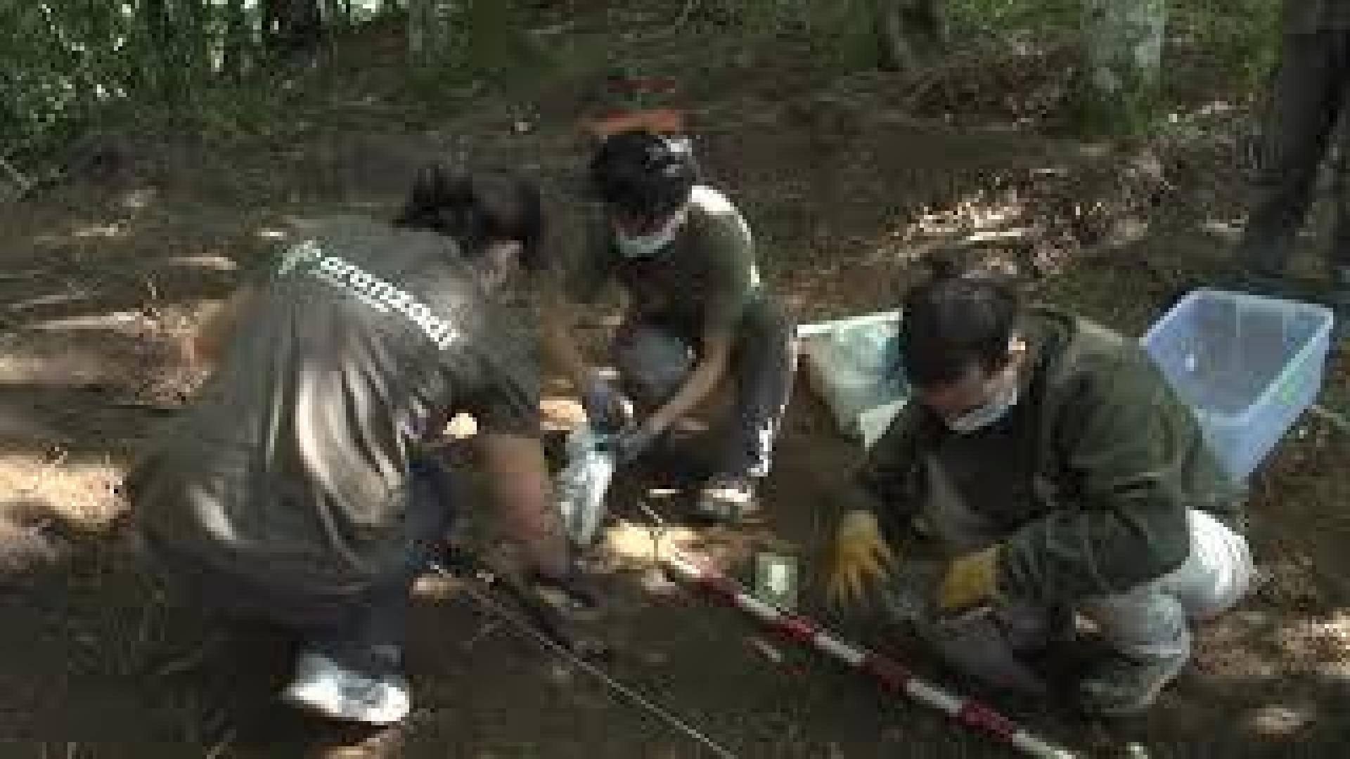 Noticias 2020 07 27 El Instituto Navarro de la Memoria localiza los restos de dos personas en una fosa de Goldaratz El Instituto Navarro de la Memoria localiza los restos de dos personas en una fosa de Goldaratz