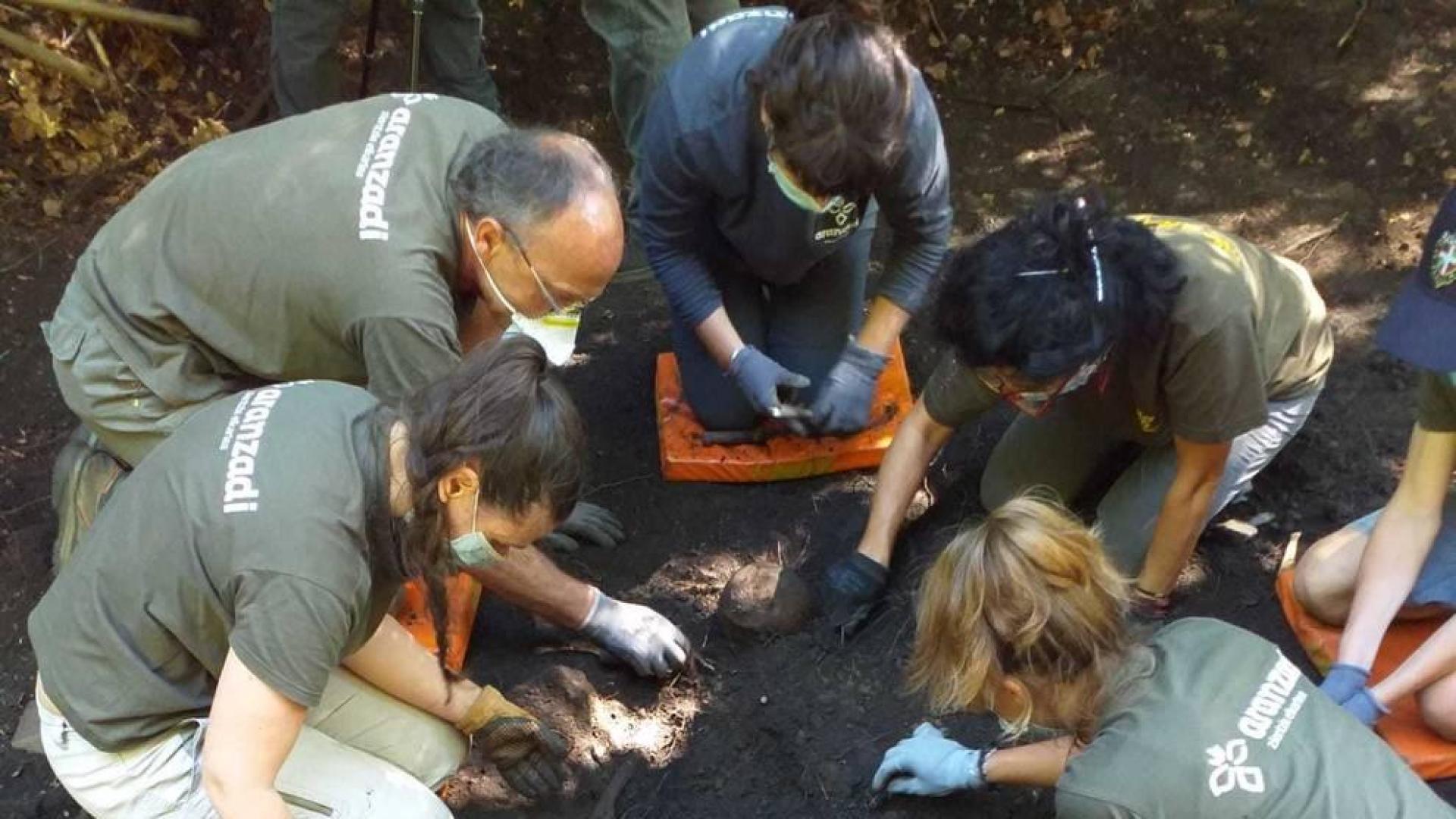 Localiza los restos de dos personas en una fosa de Goldaratz