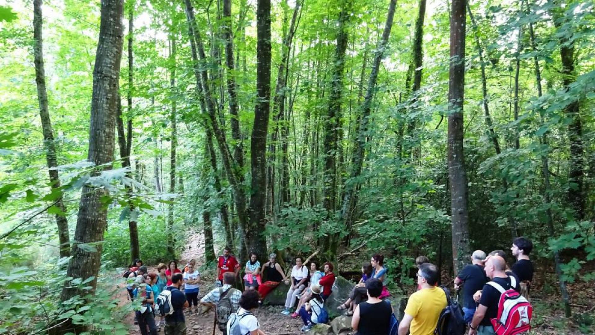 Iturburua-Bertiz, un recorrido por el parque