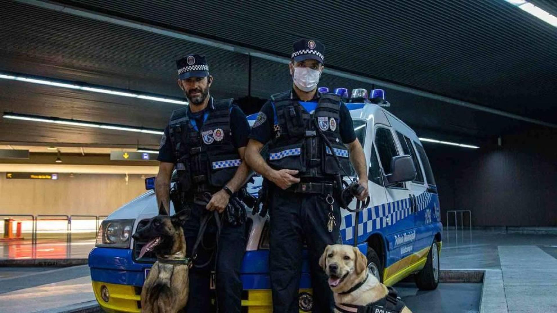 Los hocicos enemigos de la droga